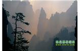張家界國家森林公園、寶峰湖/黃龍洞、鳳凰古城、三峽八日游